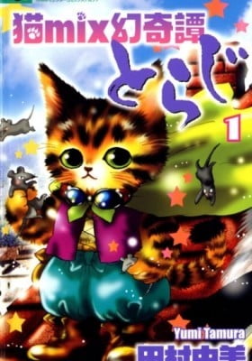 A Cat Mix's Illusory Tale: Toraji