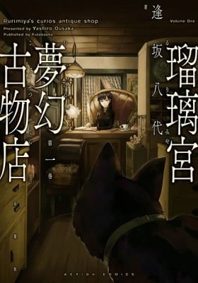Rurimiya's curios antique shop