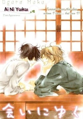 Ai ni Yuku