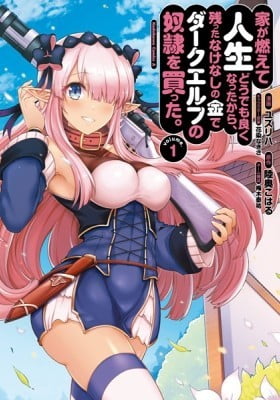 Ie ga Moete Jinsei Dou Demo Yoku Natta kara, Nokotta Nakenashi no Kin de Dark Elf no Dorei o Katta.