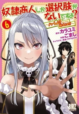 Dorei Shounin shika Sentakushi ga Nai desu yo? Harem? Nani Sore Oishii no?