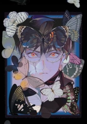 Butterfly Trap